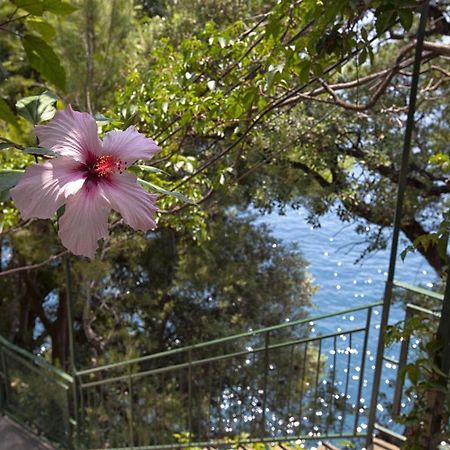 Amore Rentals - Villa Lo Scoglio Positano Exterior foto