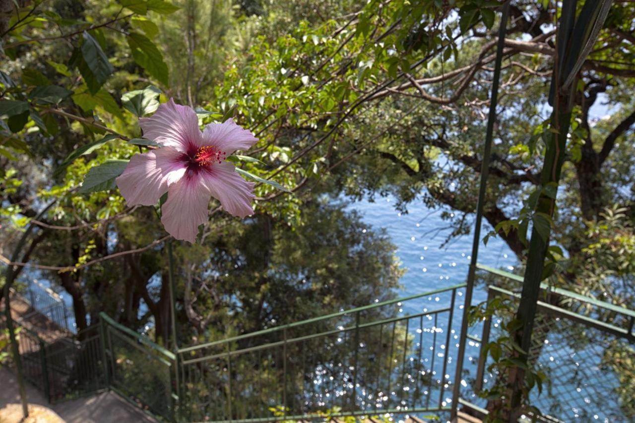 Amore Rentals - Villa Lo Scoglio Positano Exterior foto